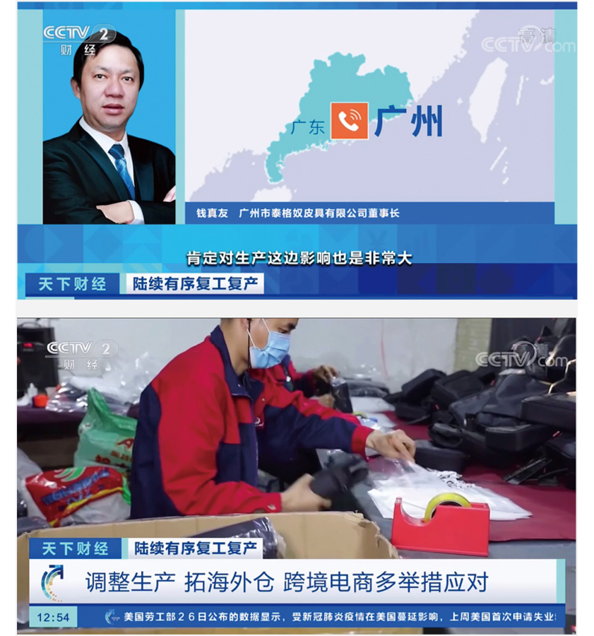 泰格奴